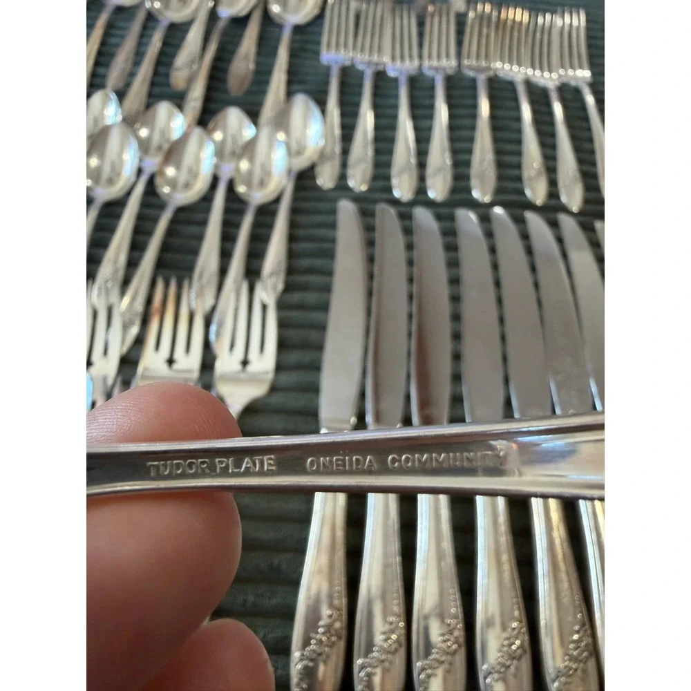 Vintage Oneida Queen Bess Pattern Silverplate Large Flatware Set of 66‎ Pieces